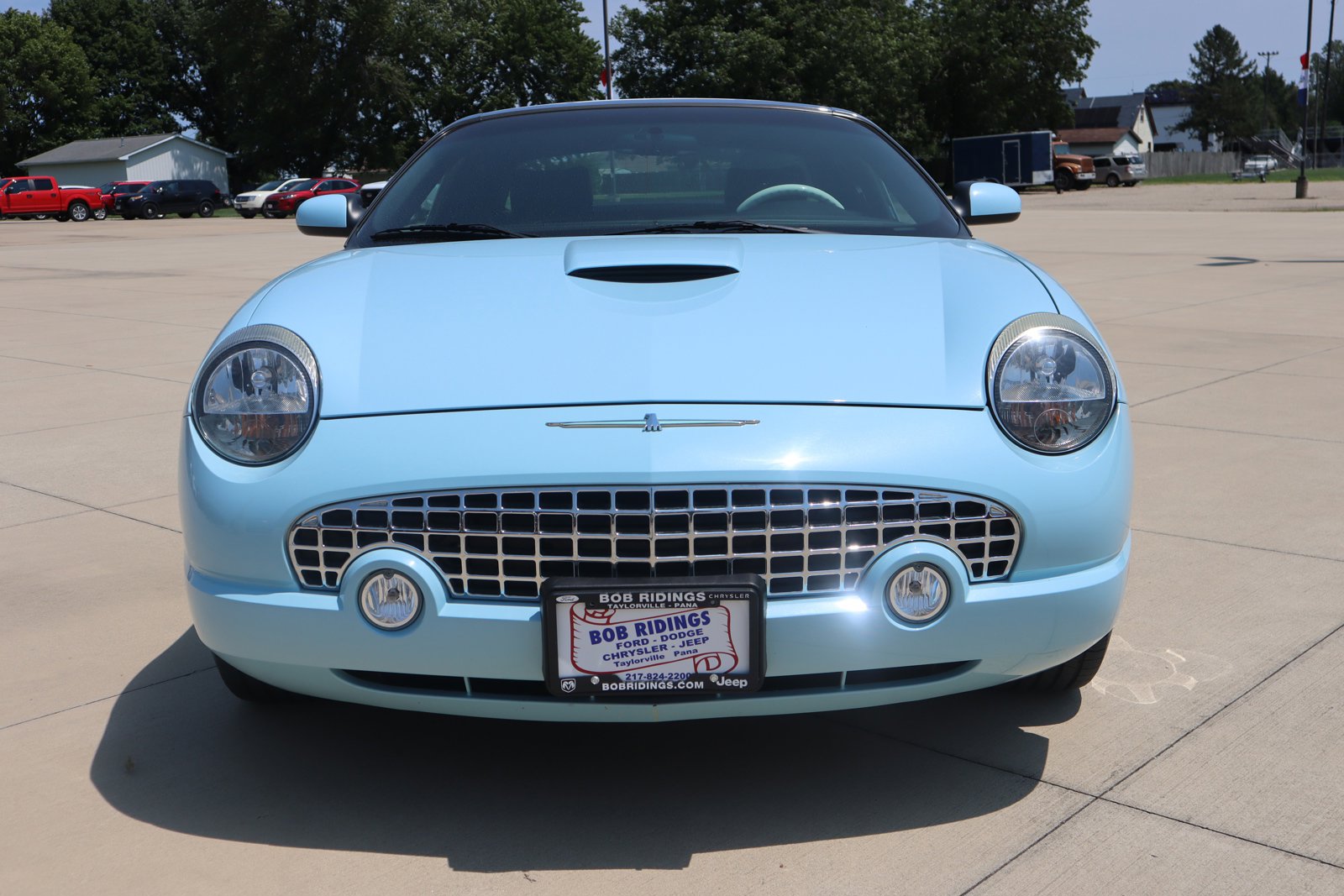 Used 2003 Ford Thunderbird Premium with VIN 1FAHP60A93Y101527 for sale in Taylorville, IL