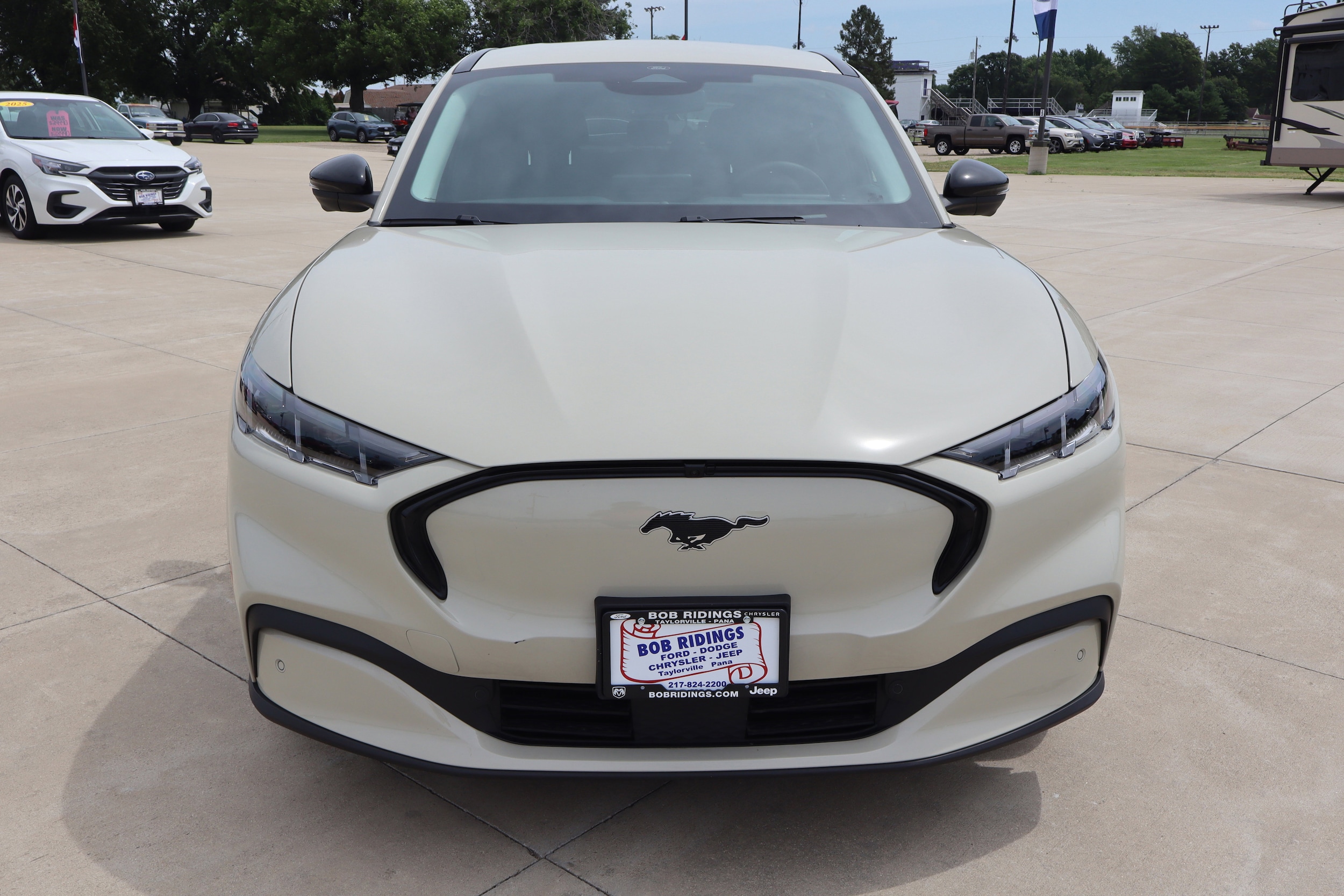 Used 2025 Ford Mustang Mach-E Premium RWD with VIN 3FMTK3R43SMA06174 for sale in Taylorville, IL