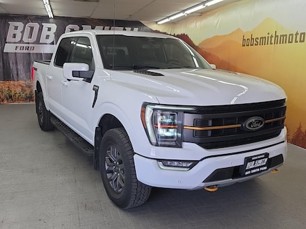 2023 Ford F-150 Tremor Truck