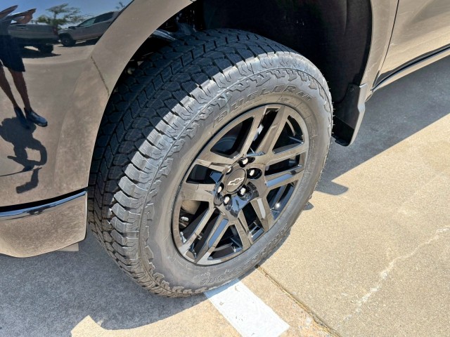2026 Chevrolet Silverado 1500 LT Trail Boss - Photo 10