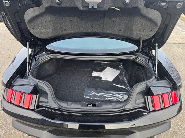 2026 Ford Mustang EcoBoost Premium Fastback - Photo 13