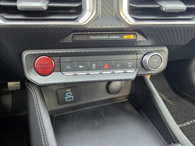 2026 Ford Mustang EcoBoost Premium Fastback - Photo 17