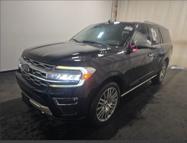 2022 Ford Expedition Platinum photo 2