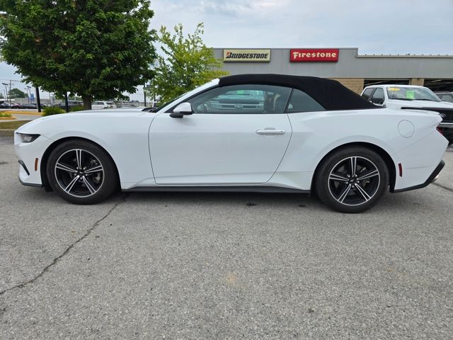 2024 Ford Mustang EcoBoost Premium - Photo 6