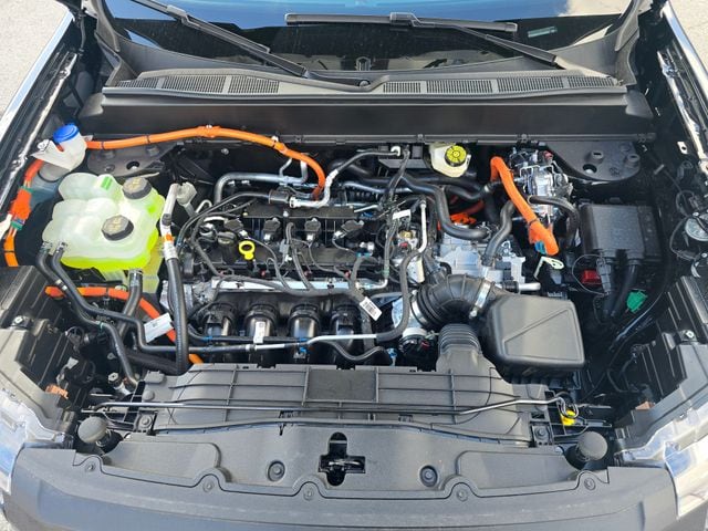 View 25