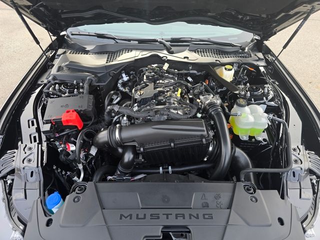 2026 Ford Mustang EcoBoost Premium Fastback - Photo 25