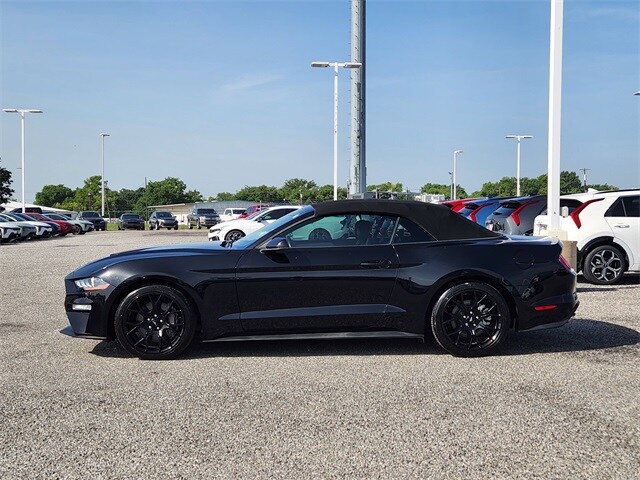 2019 Ford Mustang EcoBoost Premium Convertible photo 3