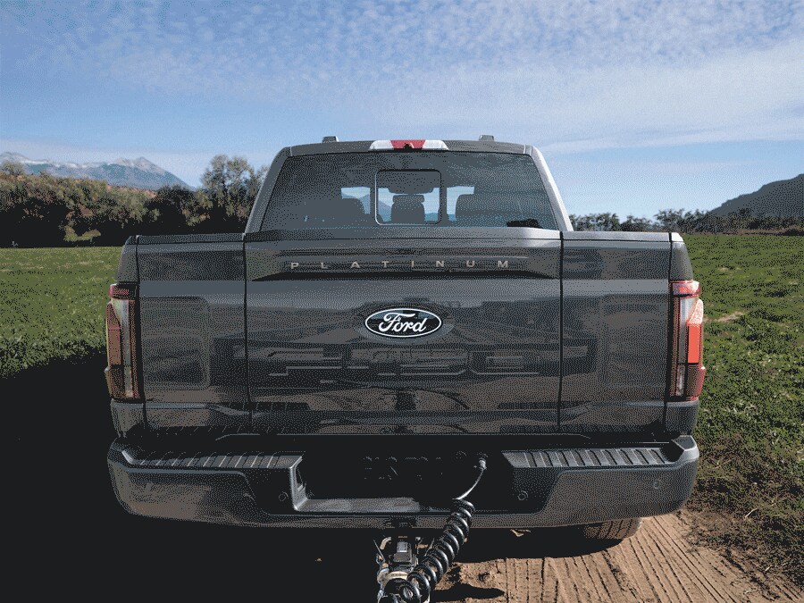 2025 F150