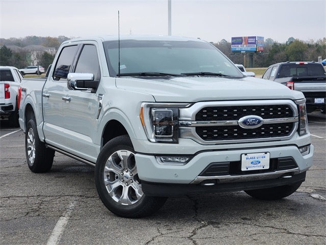 2023 Ford F-150 Platinum's photo