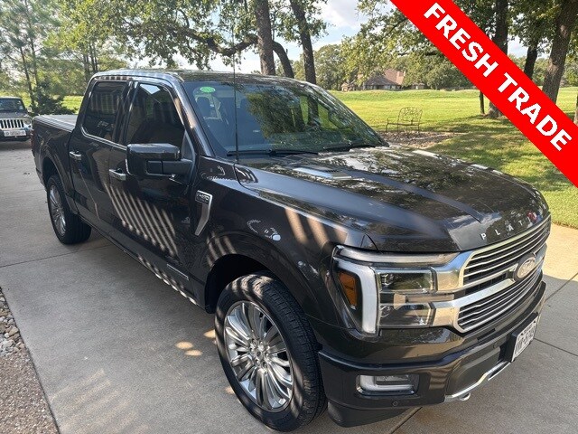 2024 Ford F-150 Platinum photo 3