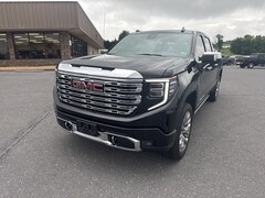 2024 GMC Sierra 1500 Denali Truck