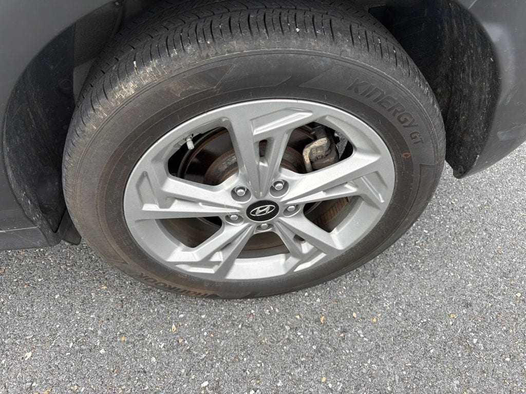 Photo 12