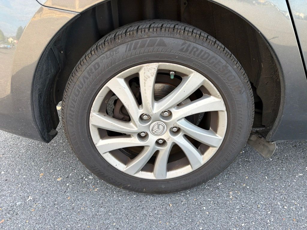 Photo 11