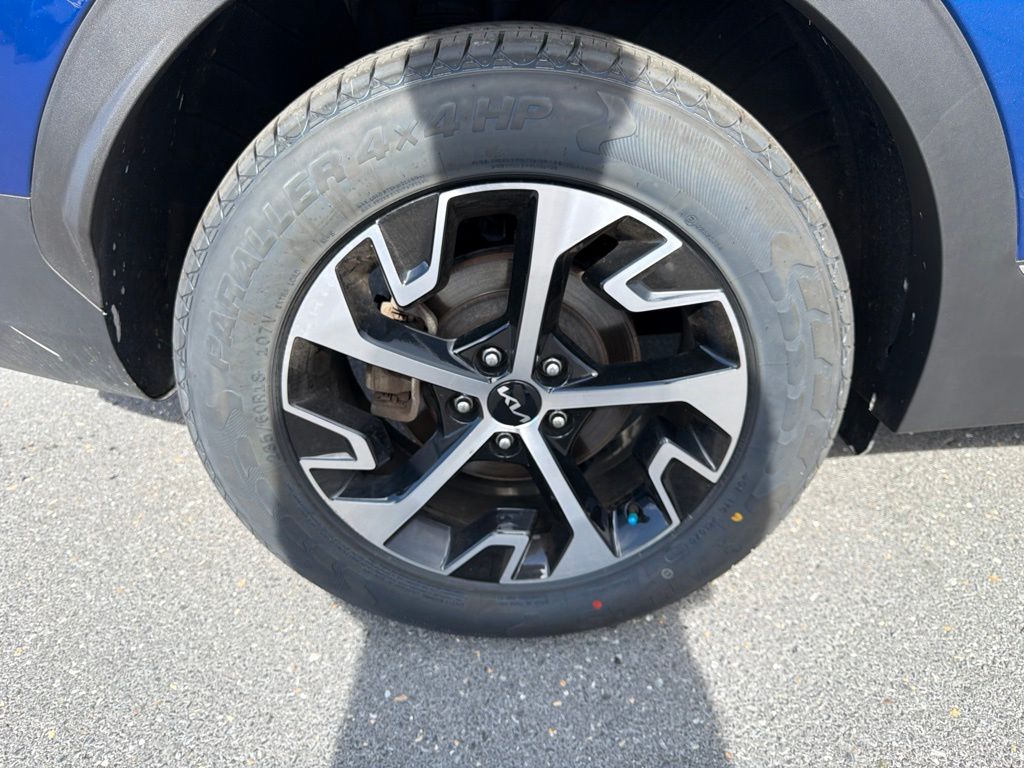 Photo 11