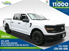 2025 Ford F-150 STX Truck