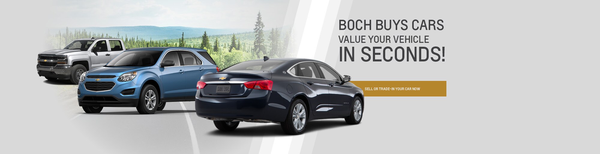 Boch Chevrolet New Chevrolet and Used Car Dealer in Norwood