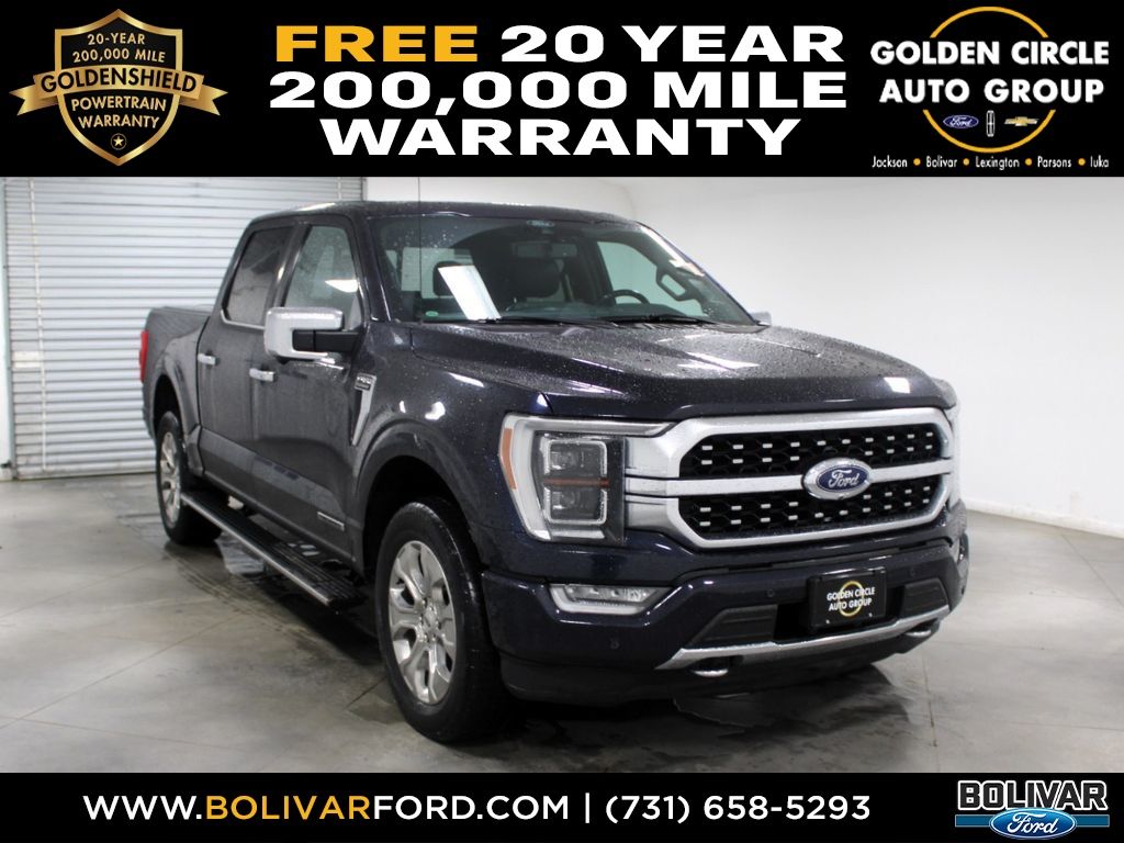 2021 Ford F-150 Platinum's photo