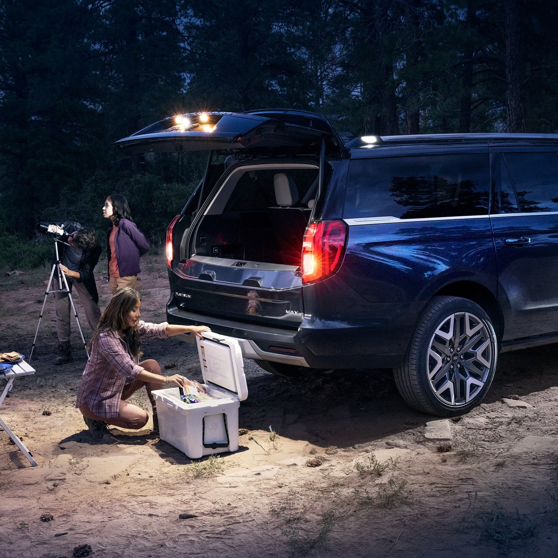 2026 Ford Expedition for sale in Lake Charles, LA