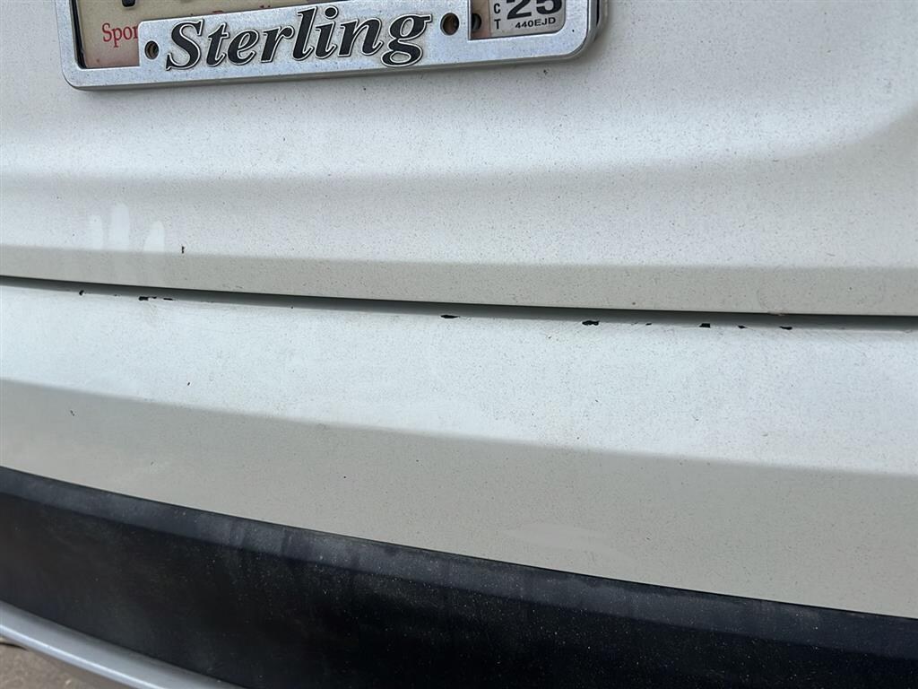 Used 2019 Honda Pilot EX FWD SUV