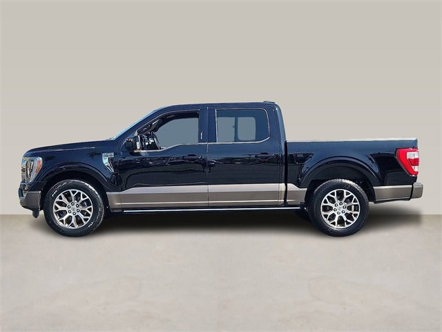 2023 Ford F-150 XL photo 3