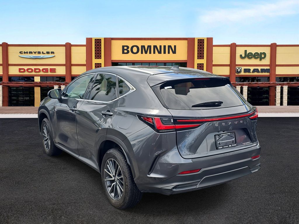 2024 Lexus NX 250 photo 4