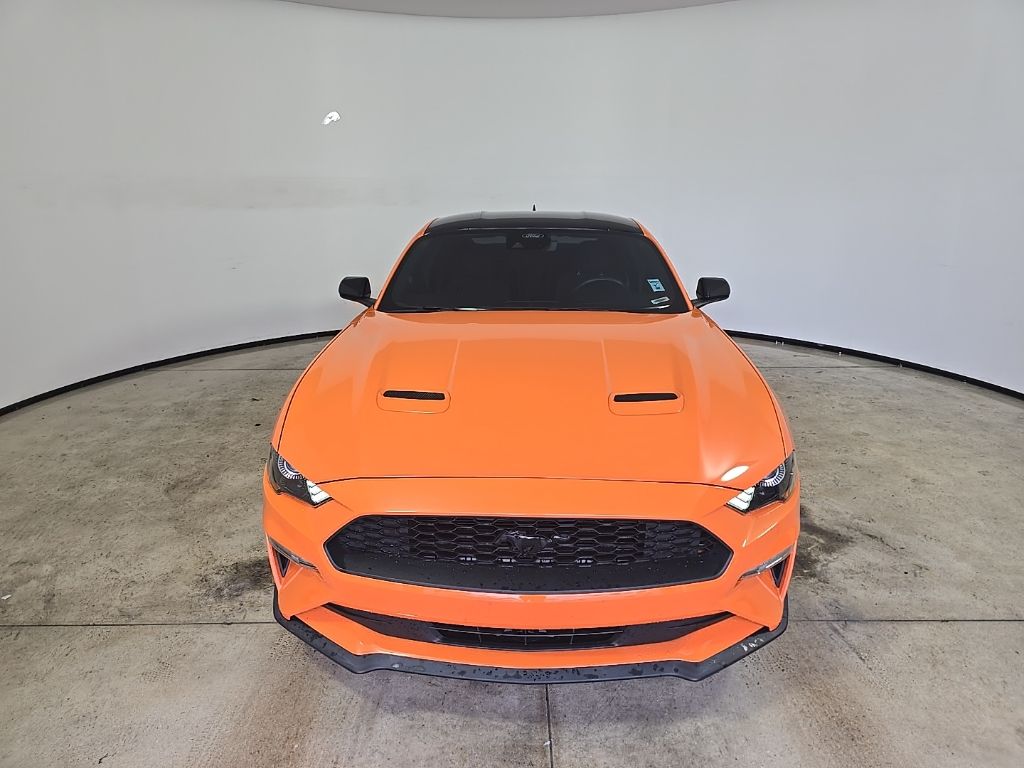 2021 Ford Mustang EcoBoost photo 3