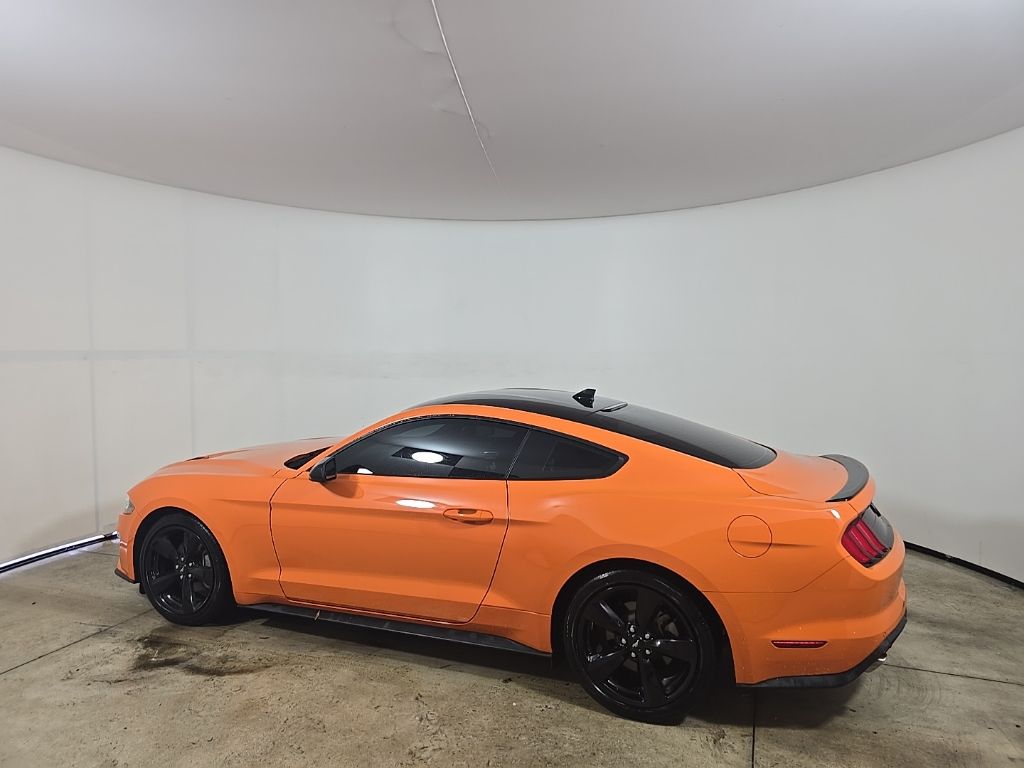 2021 Ford Mustang EcoBoost photo 4