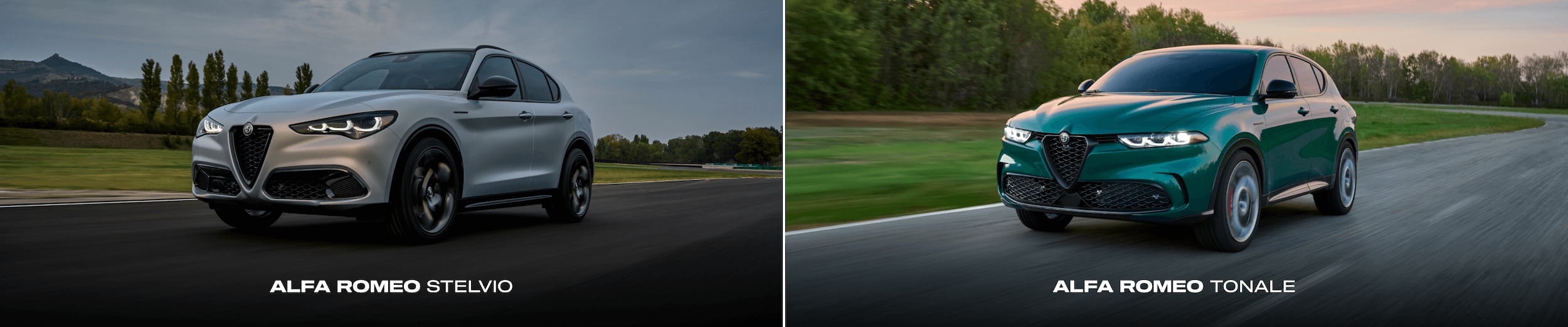 Alfa Romeo Stelvio Vs. Tonale