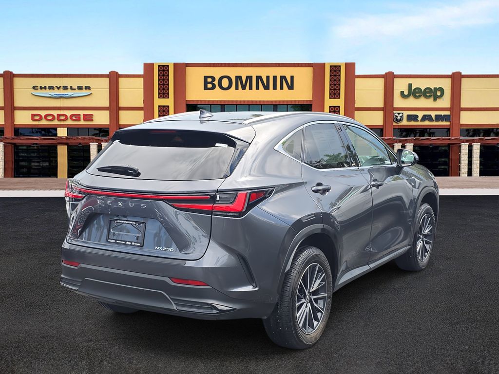 2024 Lexus NX 250 photo 3