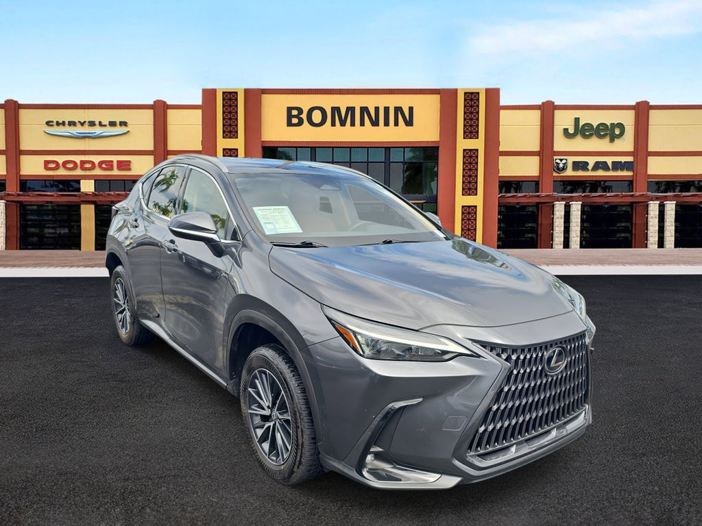 2024 Lexus NX 250 photo 2