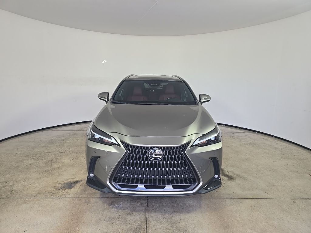 2023 Lexus NX 350 Premium photo 3