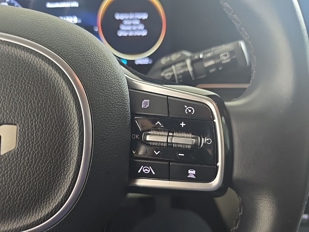 2023 Kia Carnival SX photo 11