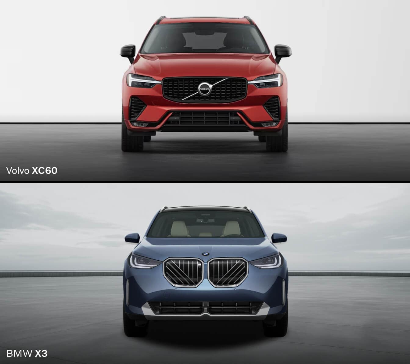 Design & Color Options