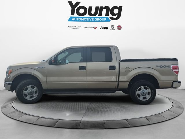 Used 2014 Ford F-150 XLT with VIN 1FTFW1EF8EKE66234 for sale in Burley, ID