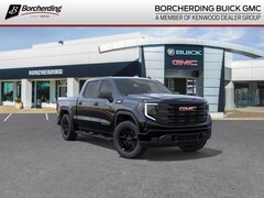 2025 GMC Sierra 1500 Pro Truck Crew Cab