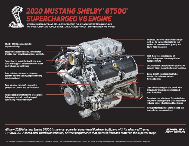 08_08_shelby2.jpg