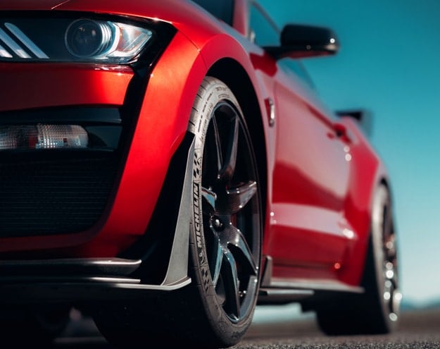 08_08_shelby.jpg