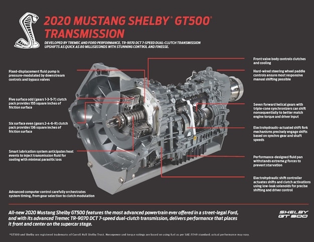 08_08_shelby3.jpg