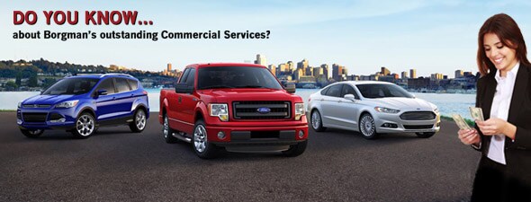 Borgman ford commercial service #9