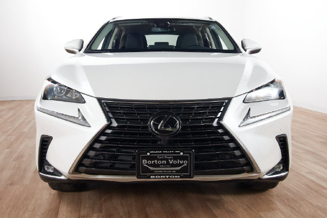 Used 2021 Lexus NX 300 with VIN JTJGARBZ7M5027990 for sale in Golden Valley, Minnesota