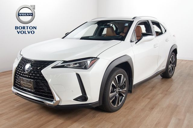 2021 Lexus UX 300h 250h AWD's photo