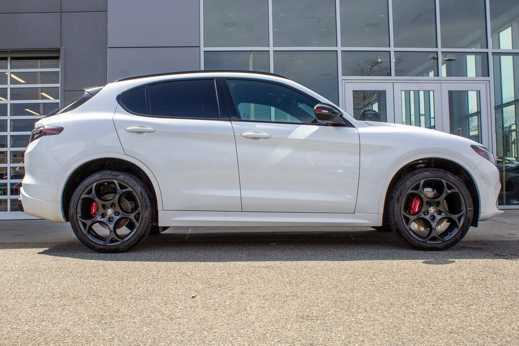 2025 Alfa Romeo Stelvio Tributo Italiano photo 4