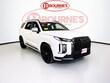 Hyundai Palisade Calligraphy Night Edition