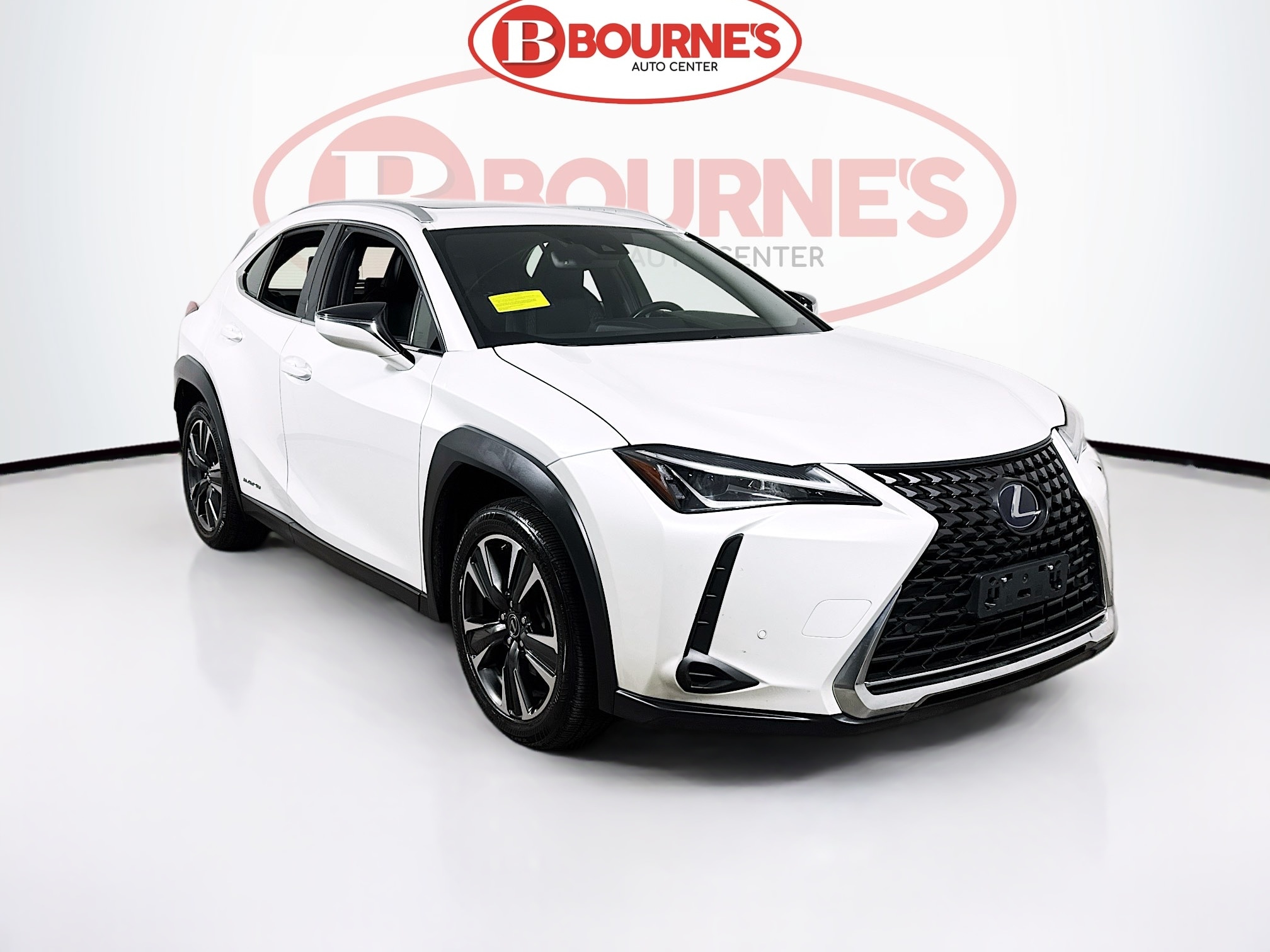 2019 Lexus UX Hybrid 250h's photo