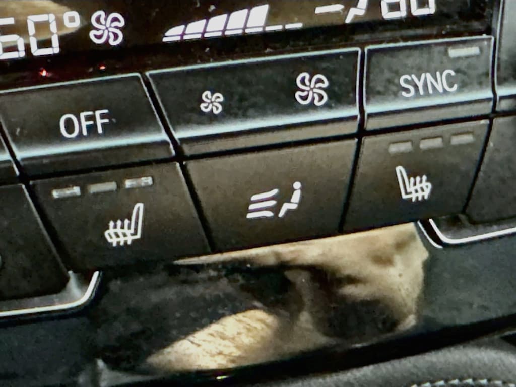 Used 2018 BMW X1 xDrive28i w/Heated Leather,Pano Sunoof SUV