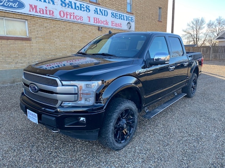 2019 Ford F-150 Platinum Crew Cab Truck