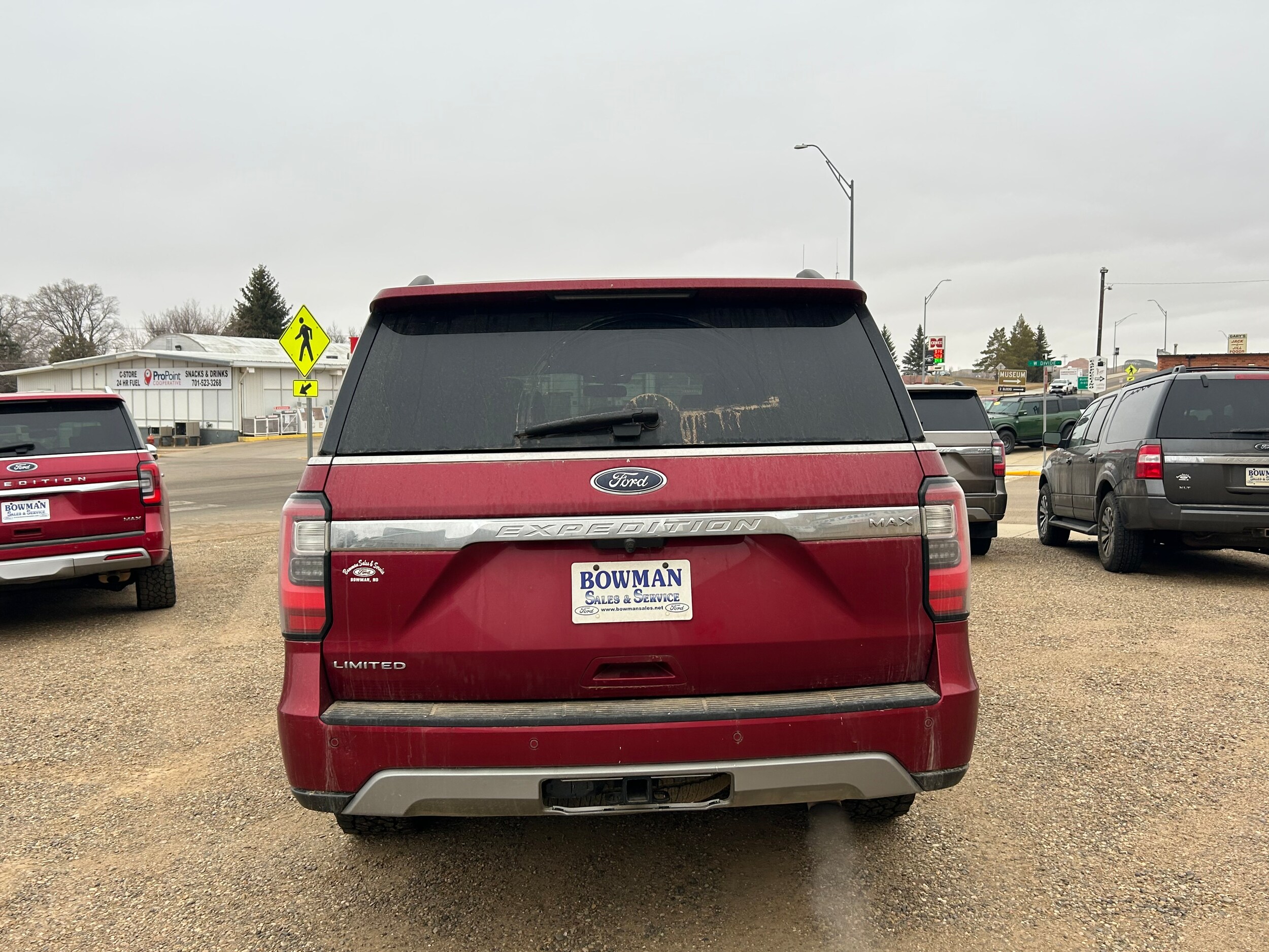 2019 Ford Expedition MAX Limited photo 4