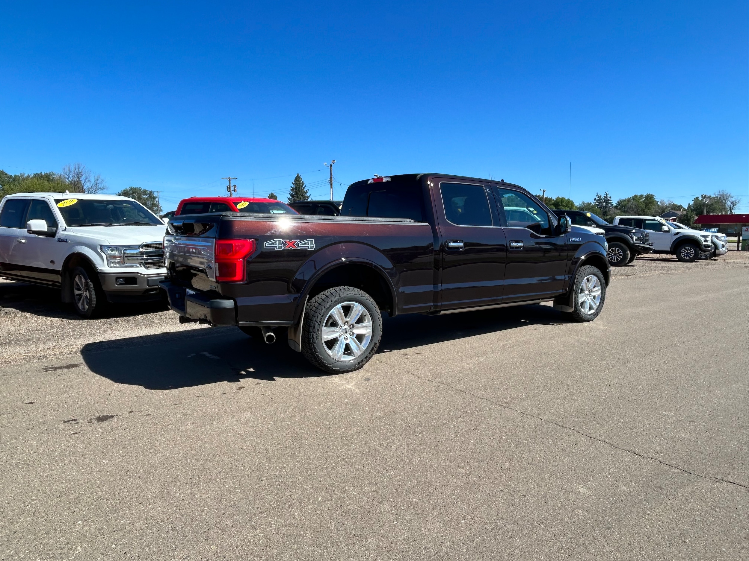 Used 2020 Ford F-150 Platinum with VIN 1FTFW1E43LFC73560 for sale in Bowman, ND