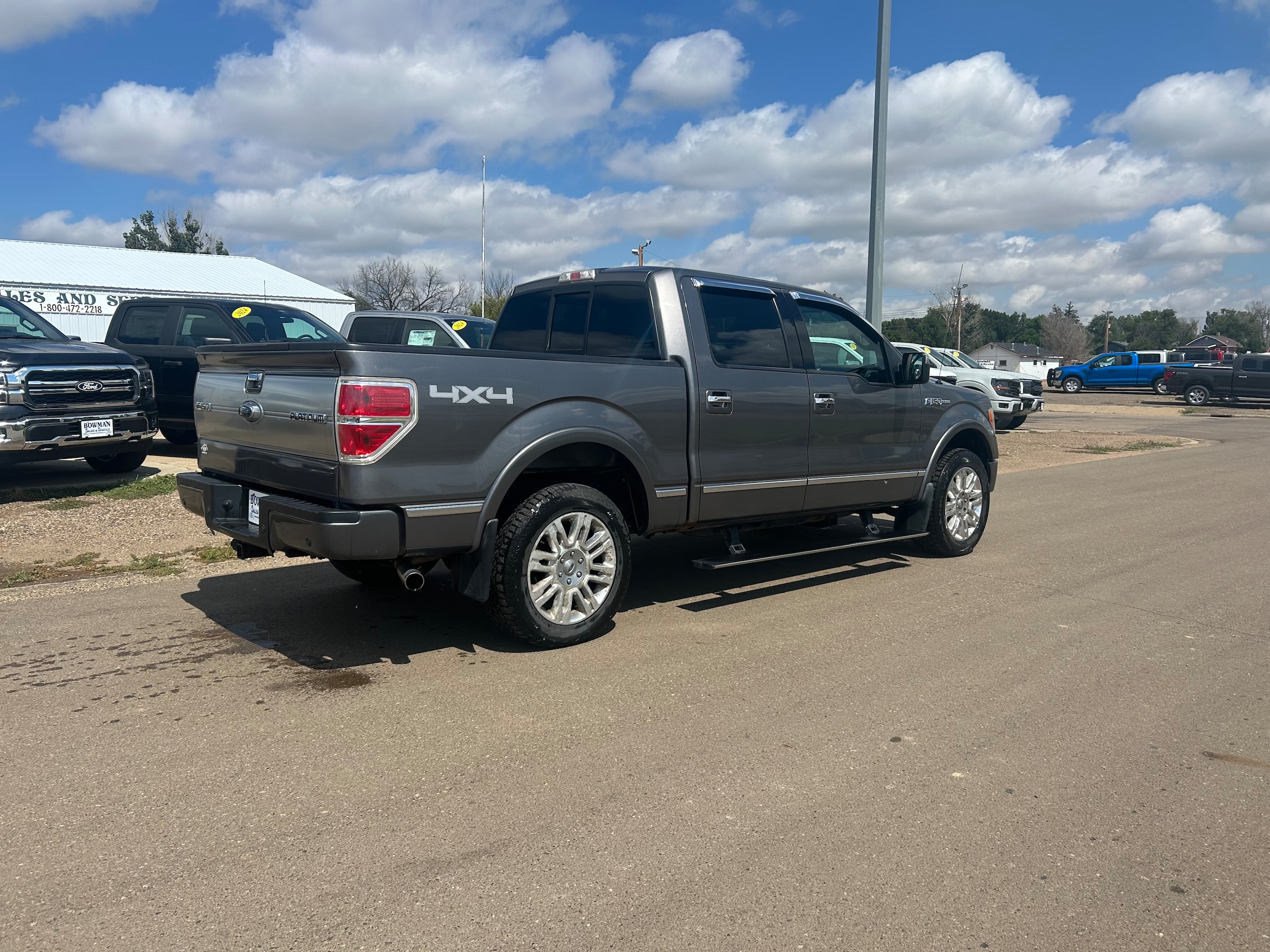 Used 2010 Ford F-150 Platinum with VIN 1FTFW1EV9AFC86903 for sale in Bowman, ND