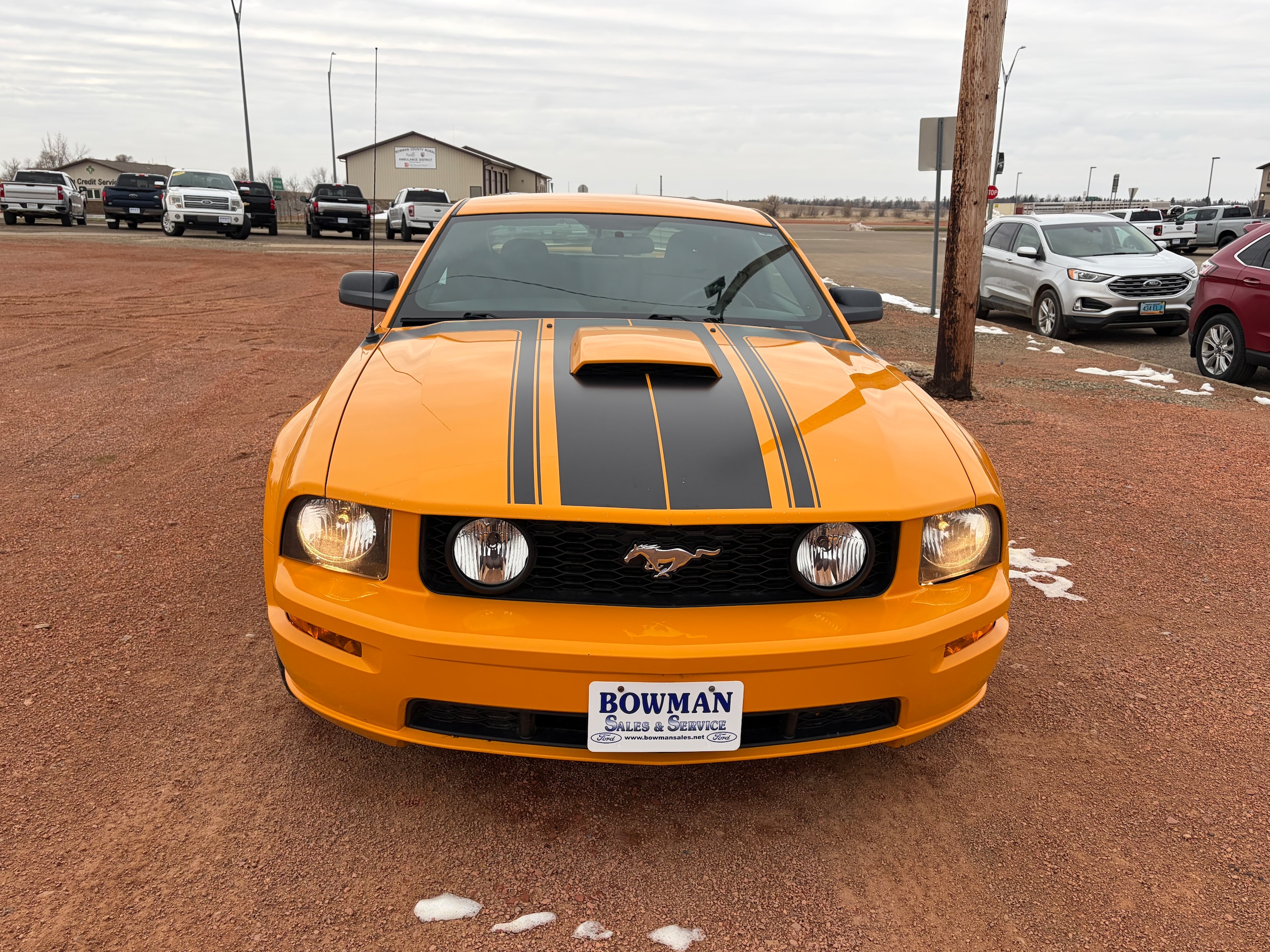Used 2007 Ford Mustang GT Deluxe with VIN 1ZVFT82H775276107 for sale in Bowman, ND